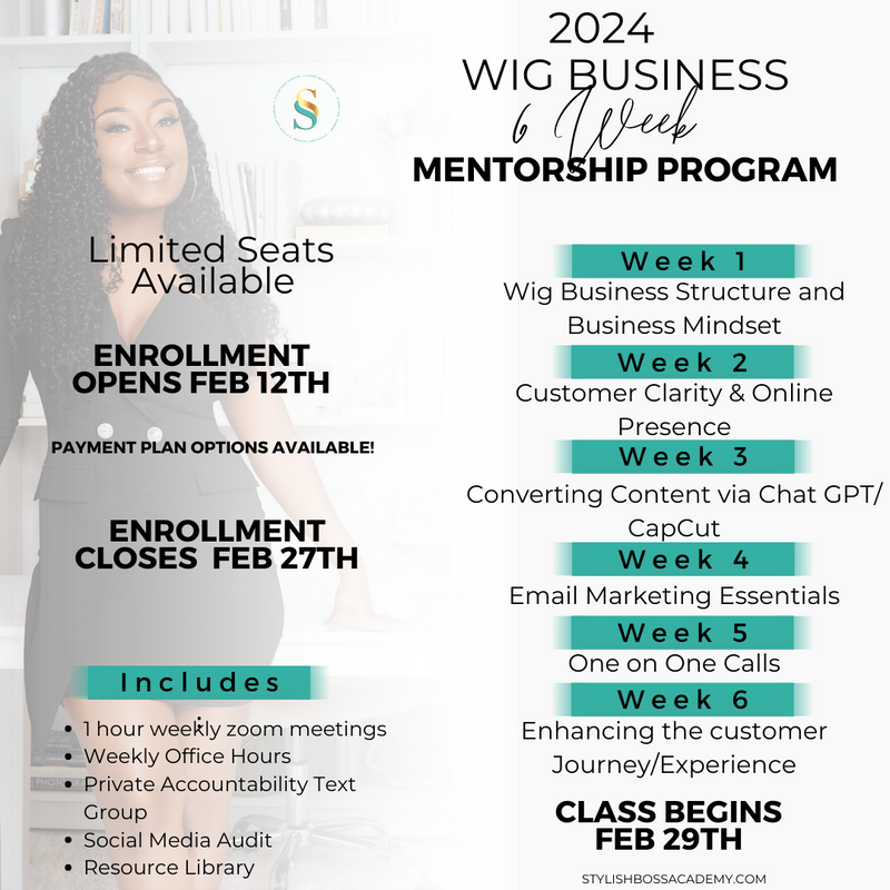 2024 Wig Business Mentorship Program